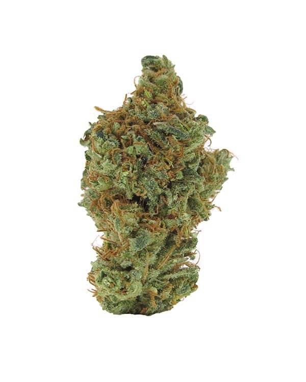 Blue Dream - Reserve | Potent Sativa Dominant Cannabis Strain ...