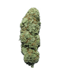 Megalodon sativa dominant hybrid cannabis strain