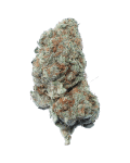 Chocolope cannabis bud