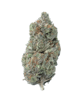 Pink Gorilla Cannabis strain bud