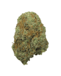God Bud Hybrid cannabis strain