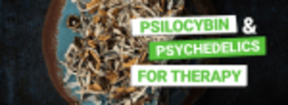 Psilocybin for Therapy