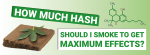 How Much Hash Should I Smoke