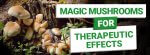 Magic Mushrooms for Therapeutic Effects