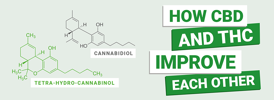 CBD and THC: A Match Made in Biochemical Heaven MMJDirect.co