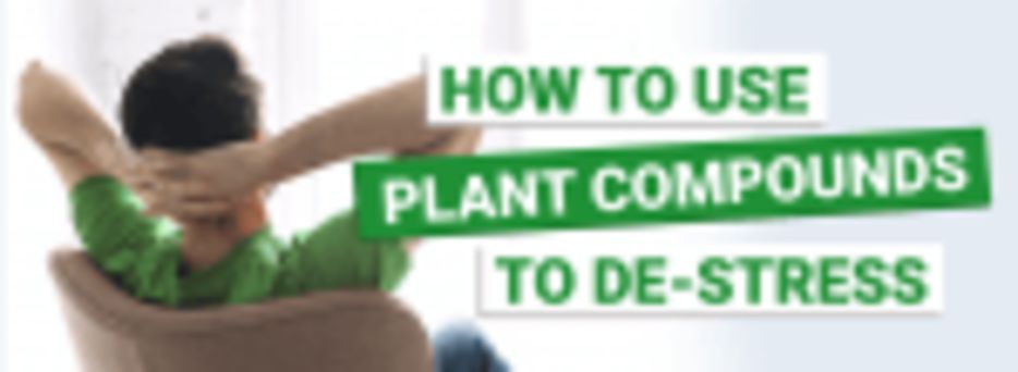 How to Use Plant Compounds to Destress