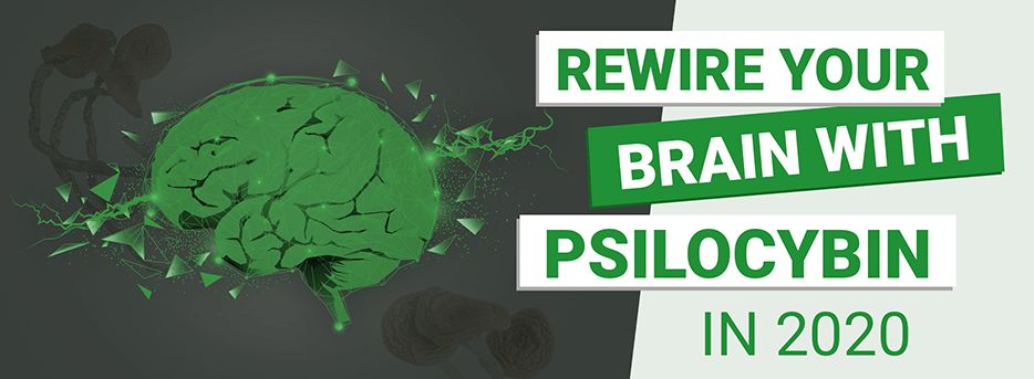 Rewire Your Brain with Psilocybin in 2020 - Here Are Science's Latest Findings - MMJDirect.co
