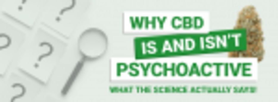Is CBD Psychoactive