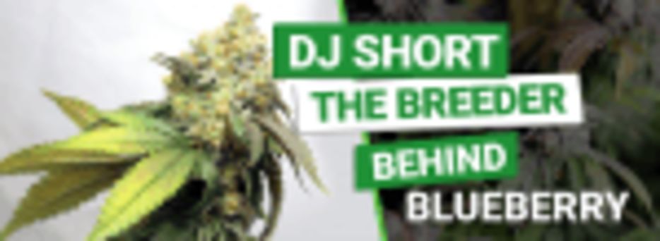 Who is DJ Short