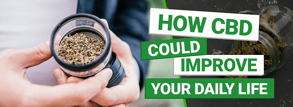 Keep Calm And CBD On: How CBD Could Improve Your Daily Life