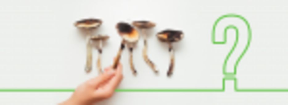 How do Magic Mushrooms Work