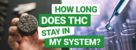 How Long Does THC Stay in My System