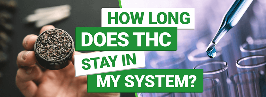 How Long Does THC Stay in My System? | MMJDirect