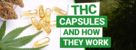 What are THC Capsules