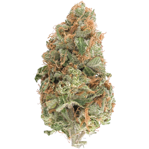 Blue Lemon Cannabis Strain - Up to 25% THC | MMJDirect