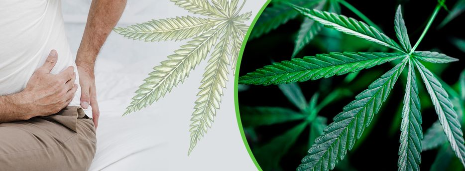 Medical Marijuana And Lupus - Fighting Chronic Pain | MMJDirect