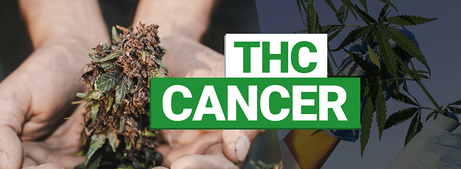 Cannabis And Cancer – Can Marijuana Really Help? | MMJDirect.co