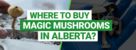 Buy magic Mushrooms in Alberta