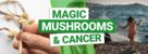 Magic Mushrooms and Cancer