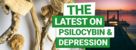 Psilocybin and Depression
