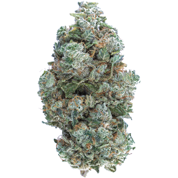 Krazy Glue Balanced Hybrid Cannabis Strain | MMJDirect