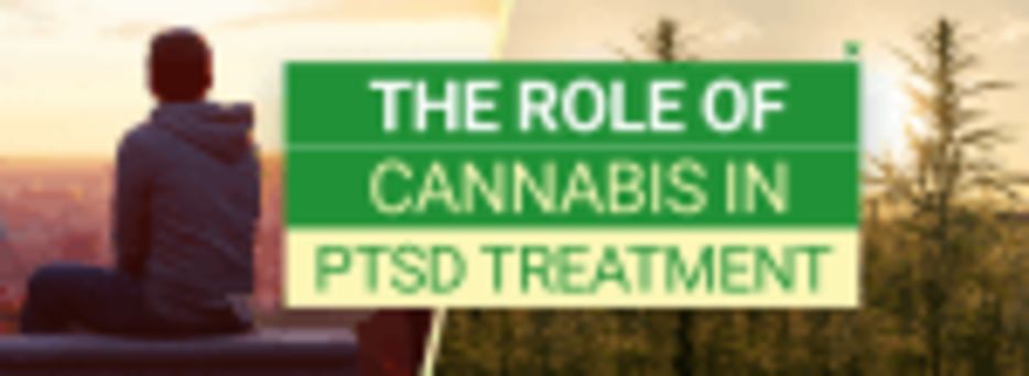 Cannabis and PTSD