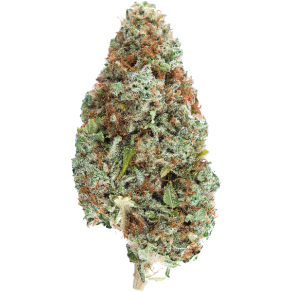 Orange Haze - Euphoria, Energy, Focus, And Lots Of Flavour | MMJDirect