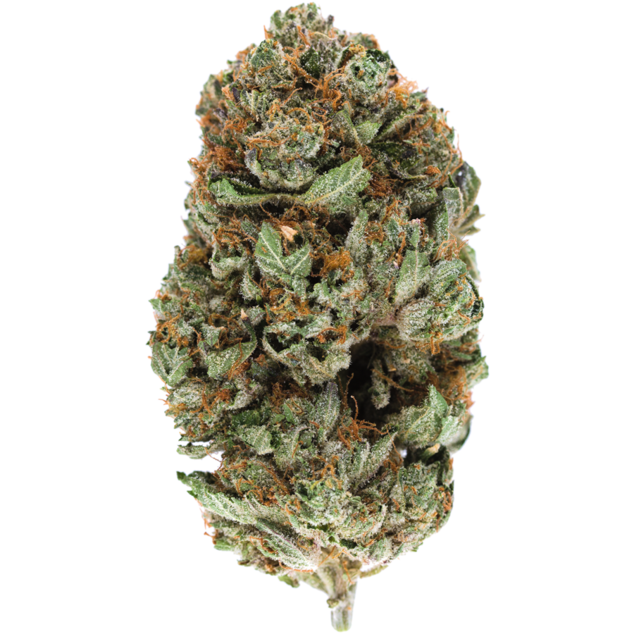 Pink Kush Indica-Dominant Cannabis Strain | MMJDirect