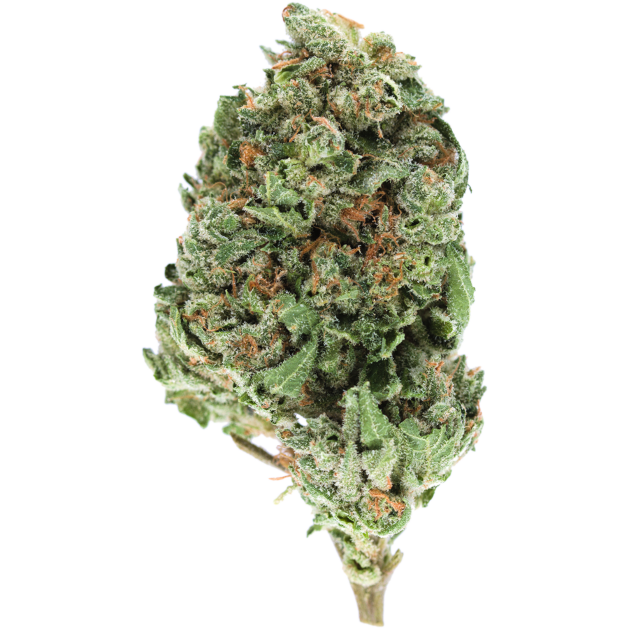 White Fire OG: Indica-Dominant Diesel-Flavoured Strain | MMJDirect