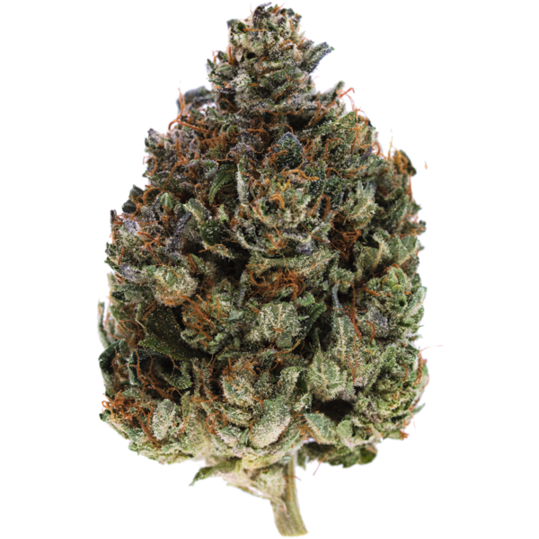 Blue Rhino: Sensational THC And CBD High | MMJDirect