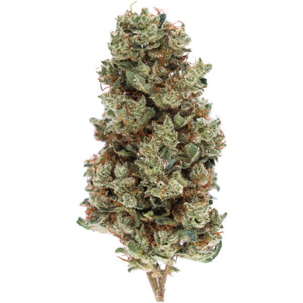 Diesel Dough - Premium Sativa | MMJDirect