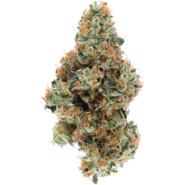 Blackberry Diesel - Moderate THC Heavy Sativa | MMJDirect