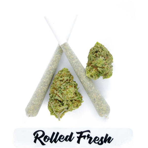 Rolled Fresh Pre-Rolls | MMJDirect.co