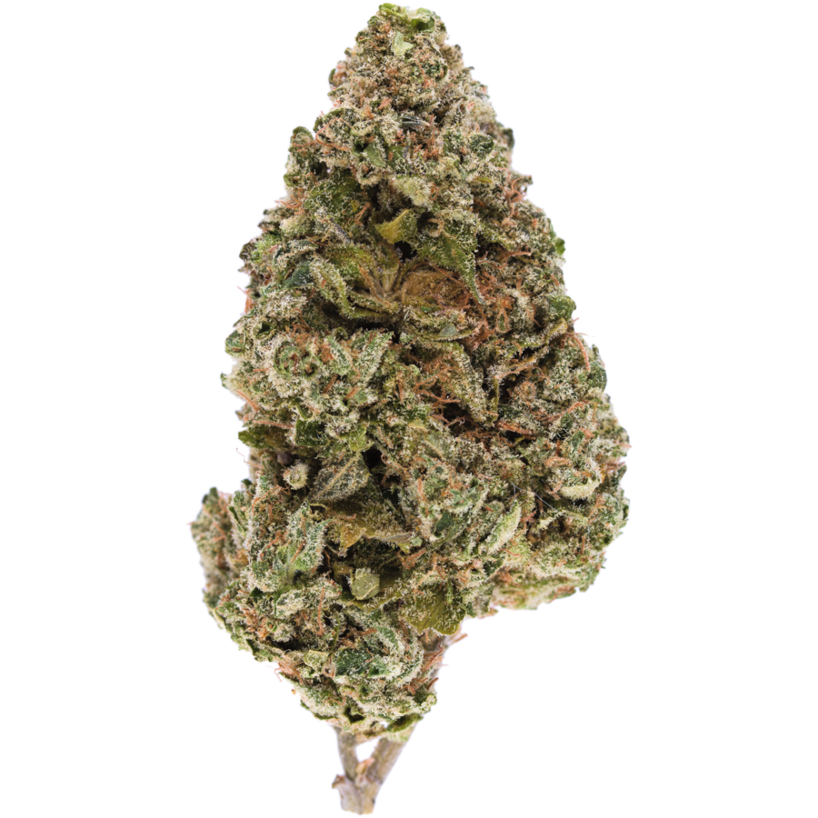 Gelato Balanced Hybrid Cannabis Strain | MMJDirect