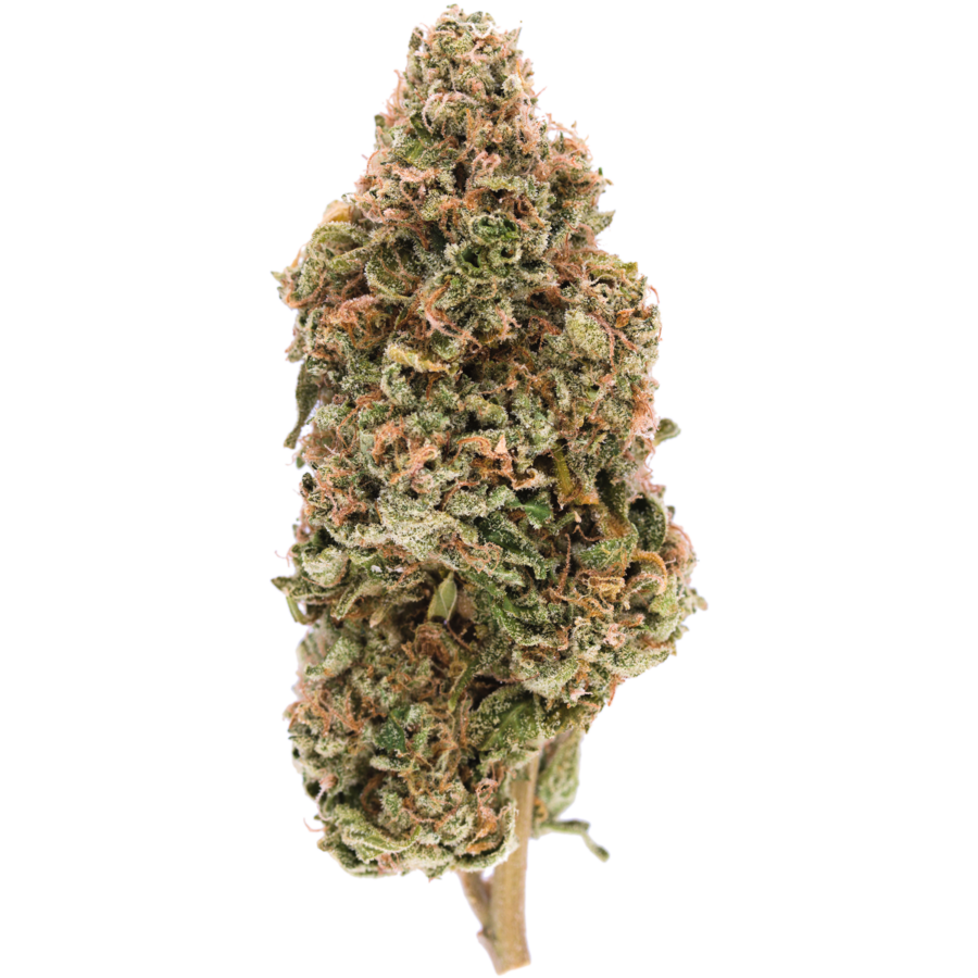 Lemon Oasis Moderate Thc Cannabis Hybrid Mmjdirect