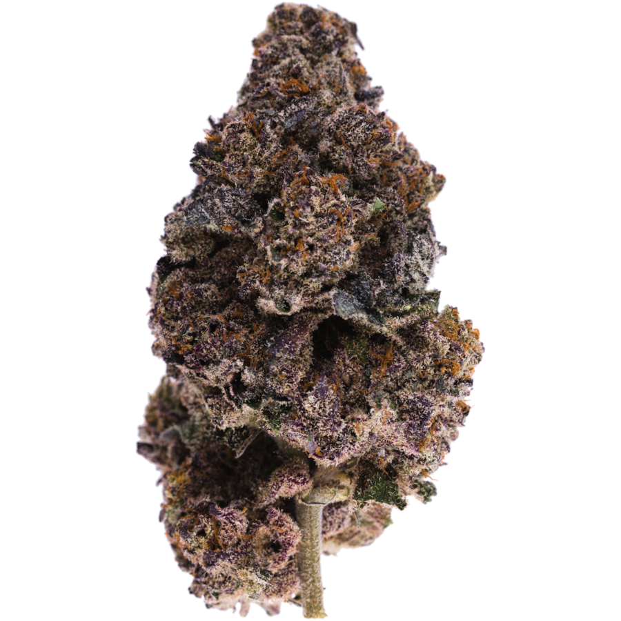 cold-snap-by-living-soil-organic-hybrid-strain-mmjdirect