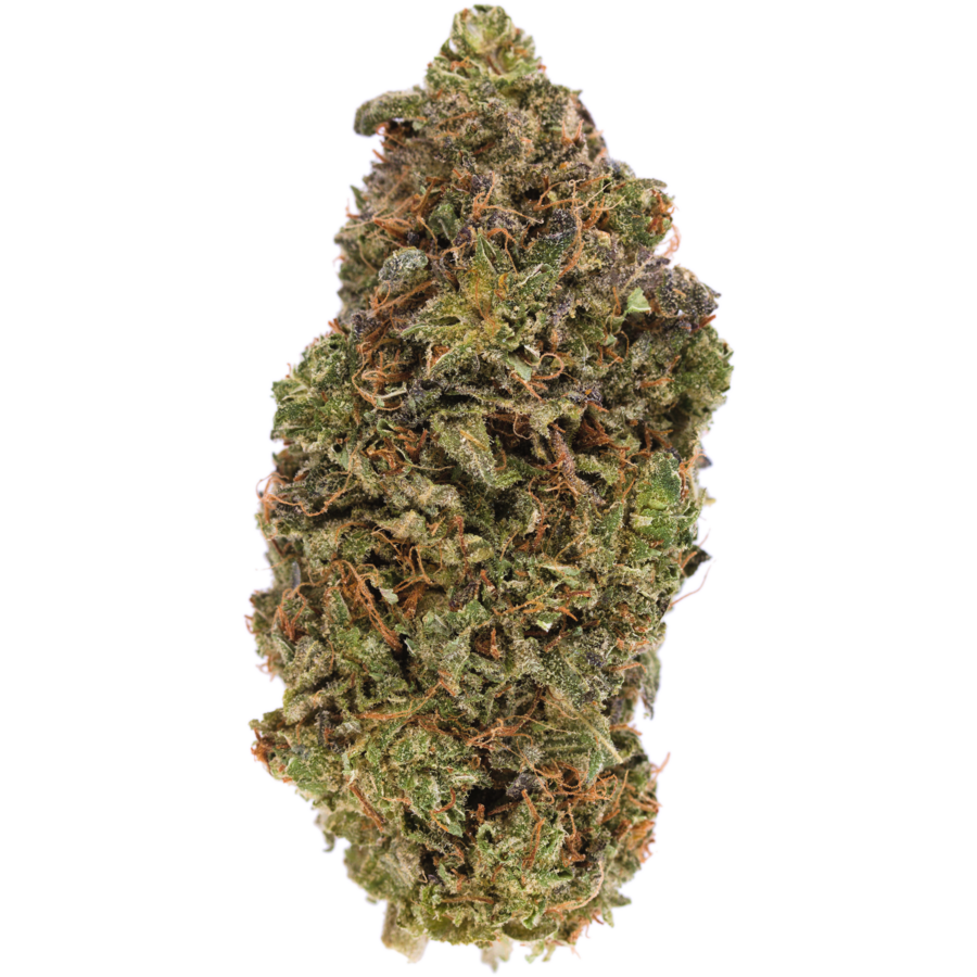 9-pound-hammer-high-thc-heavy-indica-mmjdirect