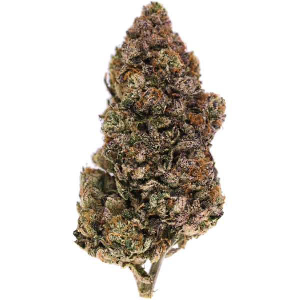 gatorade-high-thc-sativa-weed-strain-mmjdirect