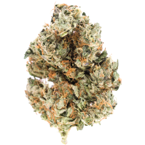 Tom Ford Pink Kush Indica Weed - Up to 35% THC | MMJDirect