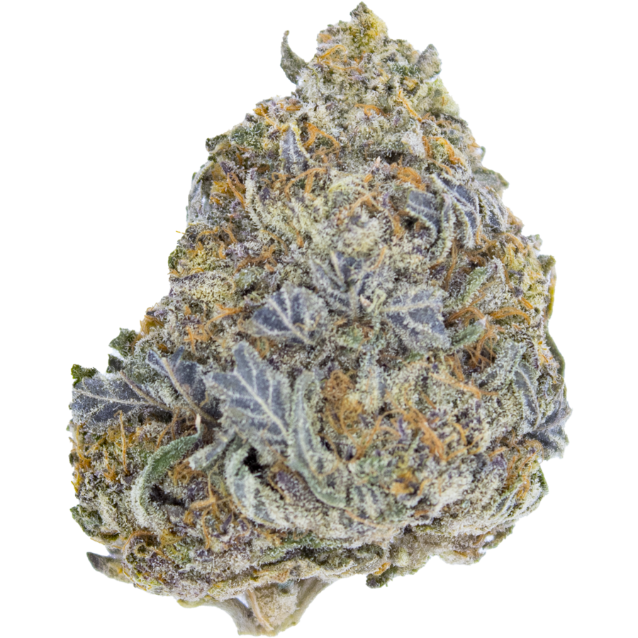 blue-durban-mmjdirect-co